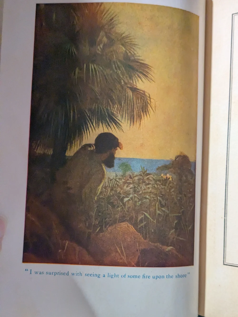 N/A illustrated paperback